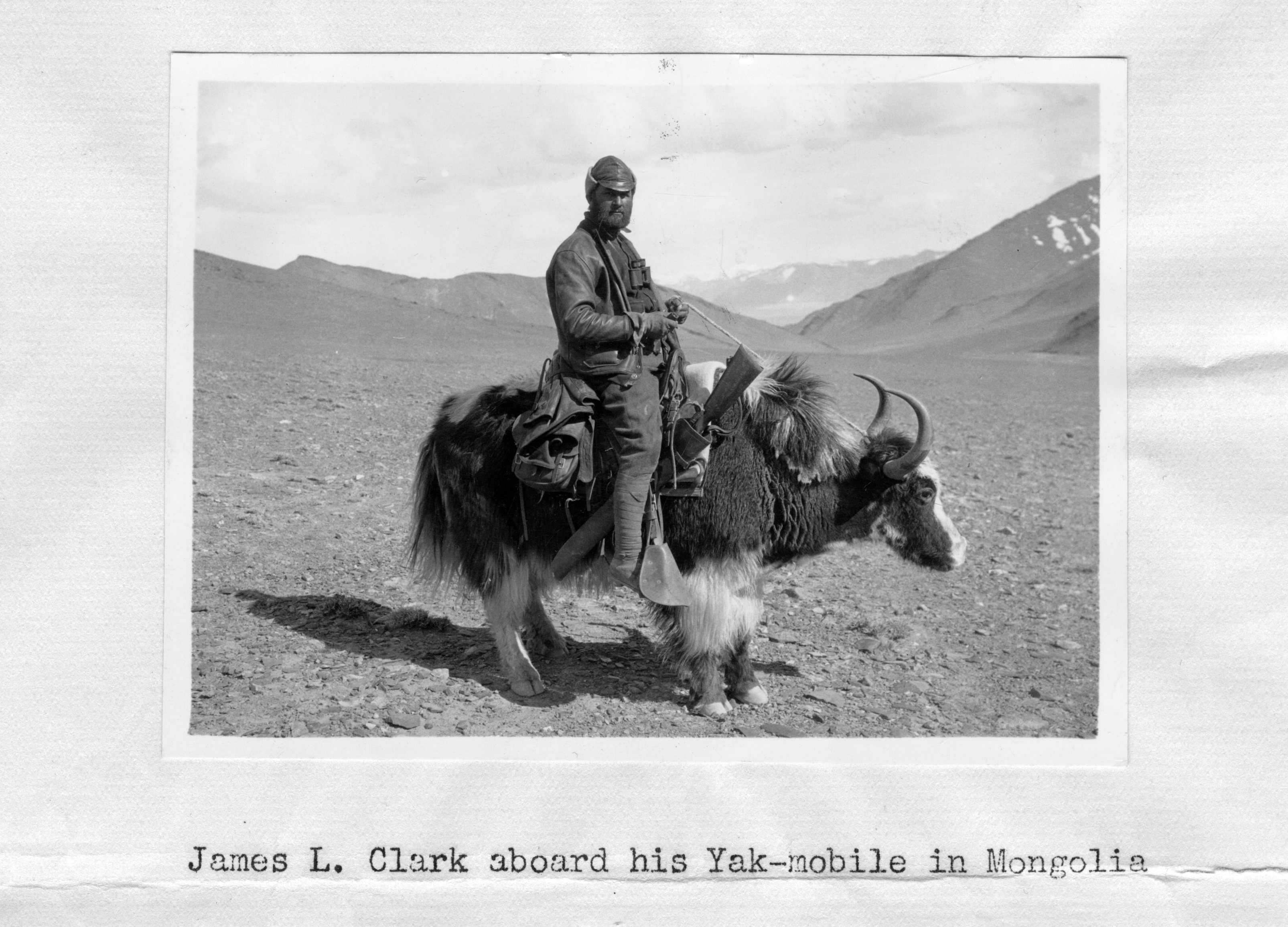 A photo inset in a page shows a bearded man riding a yak, binoculars around his neck, a rope tied to the animal’s horn, and a rifle holstered in his saddle.